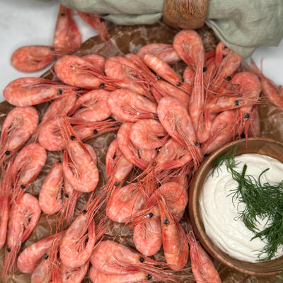 Färska räkor ligger utspritt på vaxad bakplåtspapper som ett serveringsförslag tillsammans med en skål aioli.